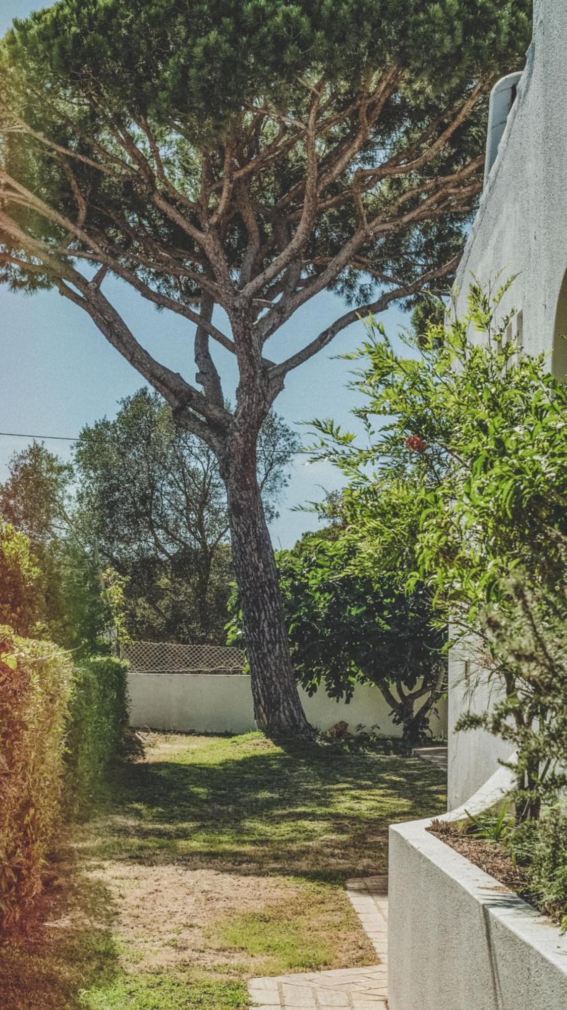 Pine House - Faro Airport, Beach And City Center Экстерьер фото